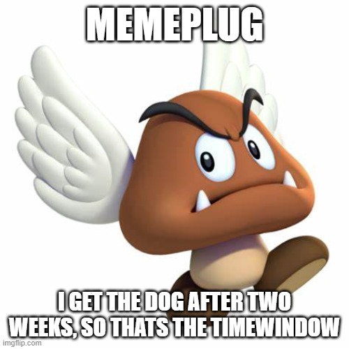 https://imgflip.com/gif/9snoxz | MEMEPLUG; I GET THE DOG AFTER TWO WEEKS, SO THATS THE TIMEWINDOW | image tagged in grimnemo anouncement template | made w/ Imgflip meme maker