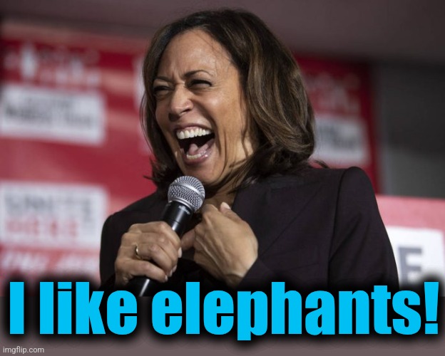 Kamala laughing | I like elephants! | image tagged in kamala laughing | made w/ Imgflip meme maker