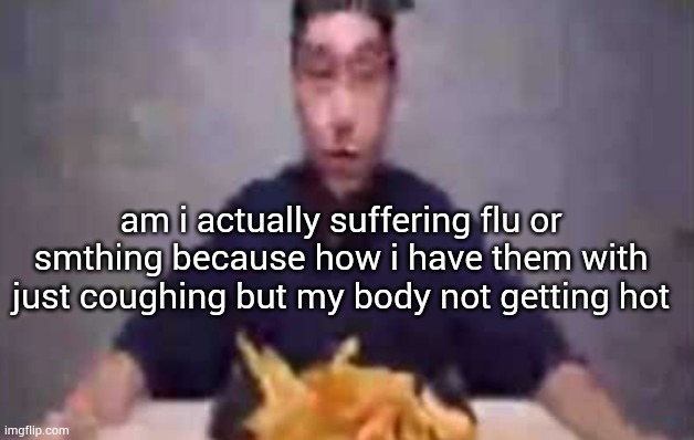 are these fries | am i actually suffering flu or smthing because how i have them with just coughing but my body not getting hot | image tagged in are these fries | made w/ Imgflip meme maker
