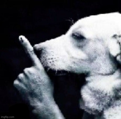 dog shh | made w/ Imgflip meme maker