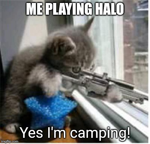 Camping Sniper | ME PLAYING HALO; Yes I'm camping! | image tagged in cats with guns,halo,videogames,funny memes | made w/ Imgflip meme maker