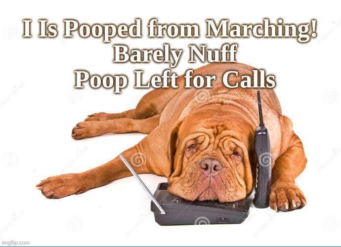 Dog Pooped from Marching | I Is Pooped from Marching! Barely Nuff Poop Left for Calls | image tagged in dog tired from marching,make calls | made w/ Imgflip meme maker