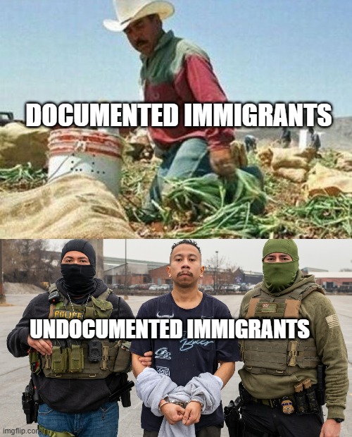don't come here illegally | DOCUMENTED IMMIGRANTS; UNDOCUMENTED IMMIGRANTS | image tagged in america,patriotic | made w/ Imgflip meme maker