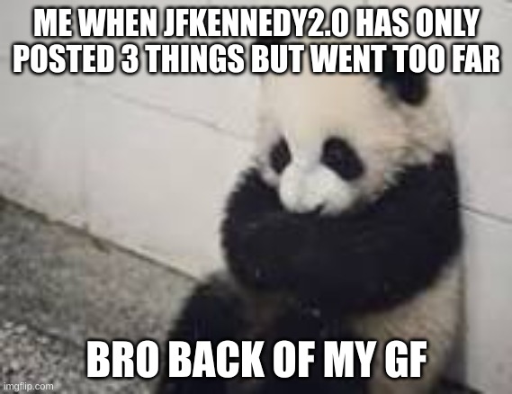 sad panda | ME WHEN JFKENNEDY2.0 HAS ONLY POSTED 3 THINGS BUT WENT TOO FAR; BRO BACK OF MY GF | image tagged in sad panda | made w/ Imgflip meme maker