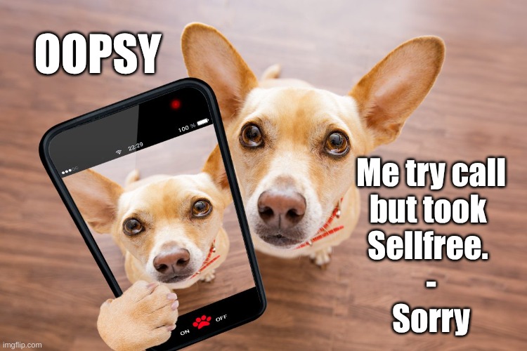 Dog oops Selfie | OOPSY; Me try call
but took 
Sellfree. 
-
Sorry | image tagged in oopsy dog,try call,tried call took selfee | made w/ Imgflip meme maker