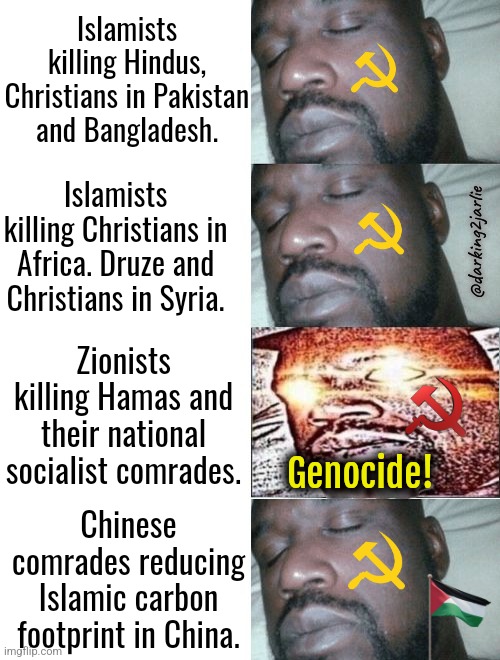 Socialism is a scam by Socialist scums. | Islamists killing Hindus, Christians in Pakistan and Bangladesh. Islamists killing Christians in Africa. Druze and Christians in Syria. @darking2jarlie; Zionists killing Hamas and their national socialist comrades. Genocide! Chinese comrades reducing Islamic carbon footprint in China. | image tagged in 2 sleeping shaq 1 awake,socialism,marxism,israel,palestine,islam | made w/ Imgflip meme maker