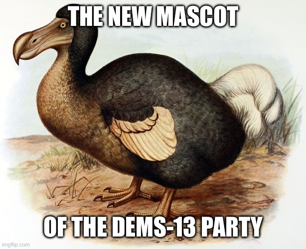 Dodo Bird | THE NEW MASCOT; OF THE DEMS-13 PARTY | image tagged in dodo bird | made w/ Imgflip meme maker