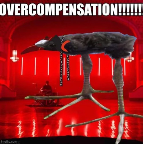 WELCOME BACK TO TRENCH | image tagged in overcompensation | made w/ Imgflip meme maker