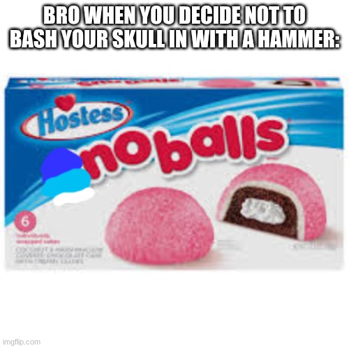 noballs | BRO WHEN YOU DECIDE NOT TO BASH YOUR SKULL IN WITH A HAMMER: | image tagged in noballs | made w/ Imgflip meme maker