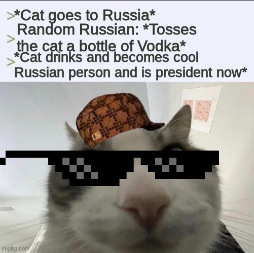 Cat looks inside | *Cat goes to Russia*; Random Russian: *Tosses the cat a bottle of Vodka*; *Cat drinks and becomes cool Russian person and is president now* | image tagged in cat looks inside | made w/ Imgflip meme maker