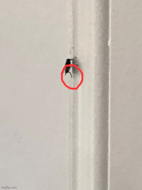 Caught this mf rubbing his hands | made w/ Imgflip meme maker