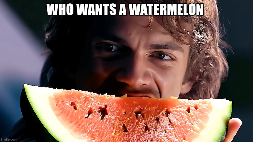 anakin skywalker | WHO WANTS A WATERMELON | image tagged in anakin skywalker | made w/ Imgflip meme maker
