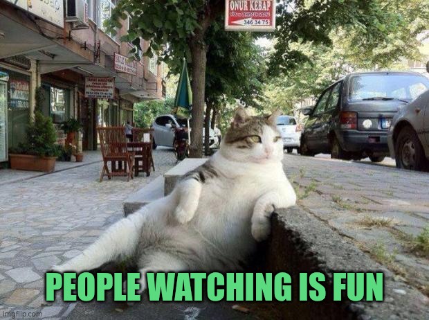 People watching is fun | PEOPLE WATCHING IS FUN | image tagged in relaxing,just chillin',chillin | made w/ Imgflip meme maker