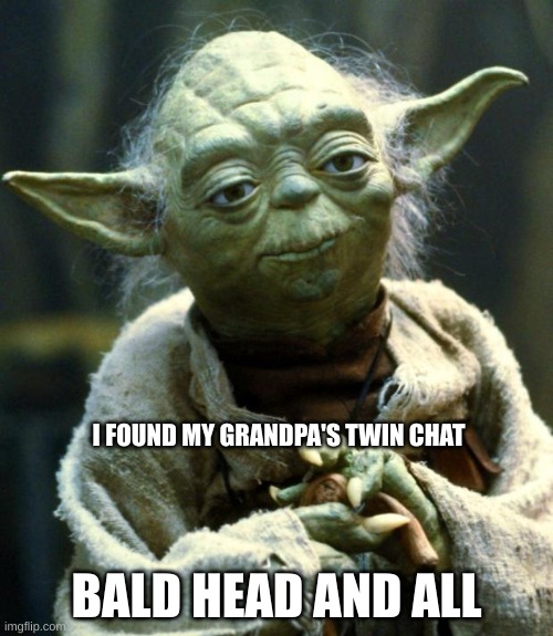 Star Wars Yoda | I FOUND MY GRANDPA'S TWIN CHAT; BALD HEAD AND ALL | image tagged in memes,star wars yoda | made w/ Imgflip meme maker