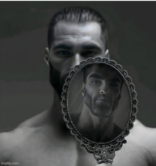 image tagged in gigachad mirror | made w/ Imgflip meme maker