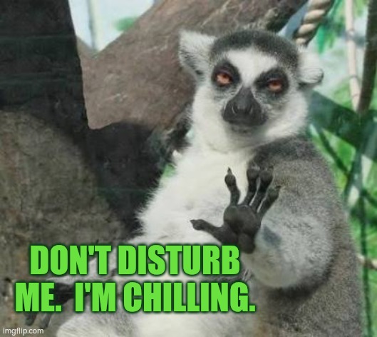 Don't disturb me. I'm chilling. | DON'T DISTURB ME.  I'M CHILLING. | image tagged in don't disturb,chilling,relaxing | made w/ Imgflip meme maker