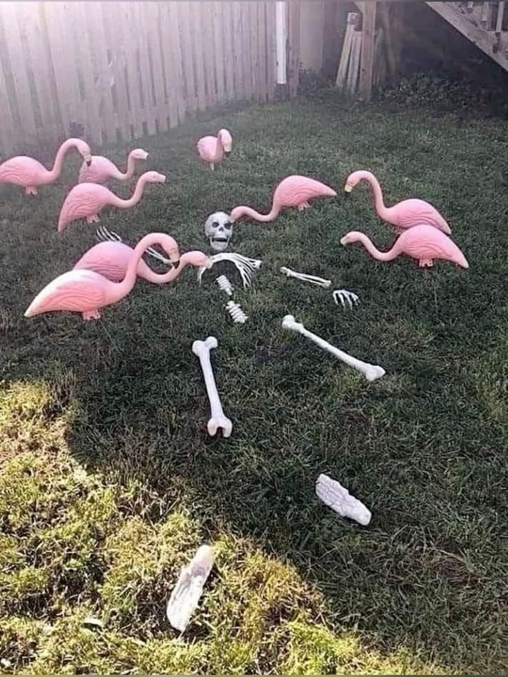 Flamingos and skeleton Blank Meme Template