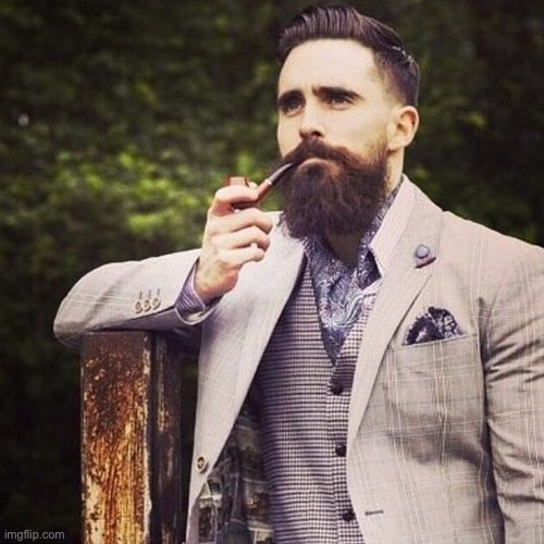 HIPSTER BEARD | image tagged in hipster beard | made w/ Imgflip meme maker