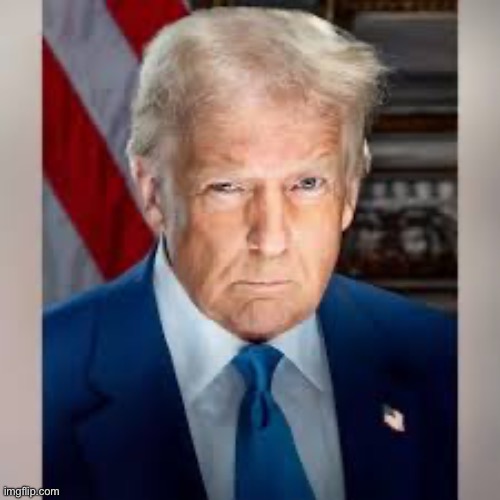 Trump Presidential Portrait | image tagged in trump presidential portrait | made w/ Imgflip meme maker