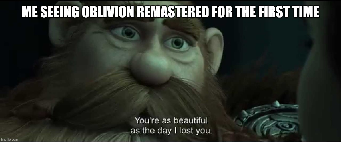 Seeing Oblivion Remastered for the first time | ME SEEING OBLIVION REMASTERED FOR THE FIRST TIME | image tagged in you are as beautiful as the day i lost you | made w/ Imgflip meme maker