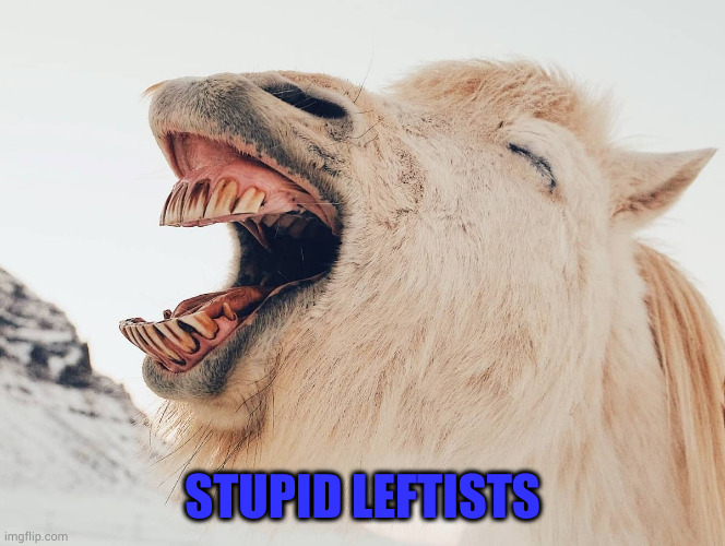 STUPID LEFTISTS | image tagged in laugh | made w/ Imgflip meme maker