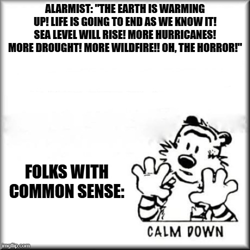 ALARMIST: "THE EARTH IS WARMING UP! LIFE IS GOING TO END AS WE KNOW IT! SEA LEVEL WILL RISE! MORE HURRICANES! MORE DROUGHT! MORE WILDFIRE!! OH, THE HORROR!"; FOLKS WITH COMMON SENSE: | image tagged in climate change,memes,politics | made w/ Imgflip meme maker