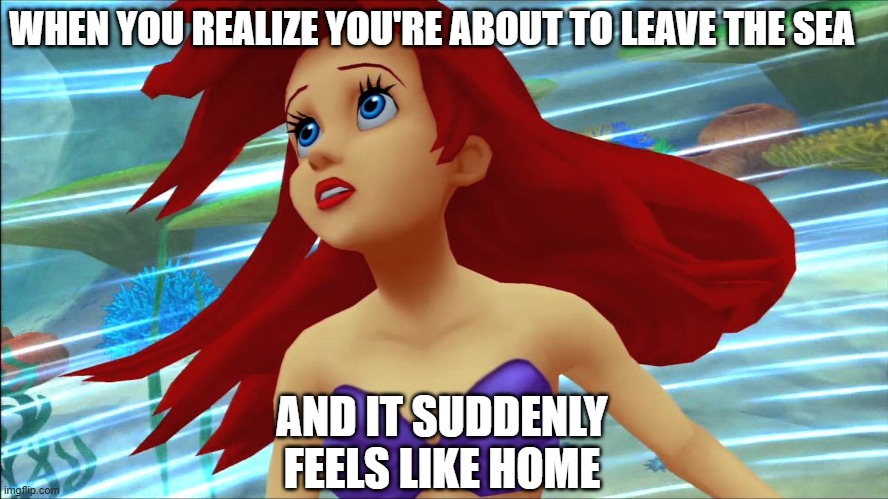 To All the Graduating Seniors | WHEN YOU REALIZE YOU'RE ABOUT TO LEAVE THE SEA; AND IT SUDDENLY FEELS LIKE HOME | image tagged in ariel dizzying,high school,seniors,graduation | made w/ Imgflip meme maker