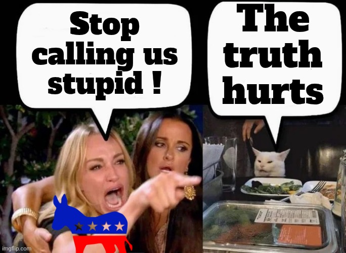 Don't eat the Cat | Stop calling us stupid ! The truth hurts | image tagged in don't eat the cat | made w/ Imgflip meme maker