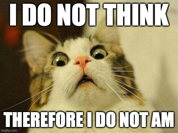 Scared Cat | I DO NOT THINK; THEREFORE I DO NOT AM | image tagged in memes,scared cat | made w/ Imgflip meme maker