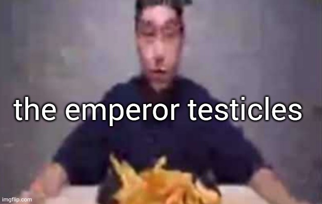stream mood rn | the emperor testicles | image tagged in are these fries | made w/ Imgflip meme maker