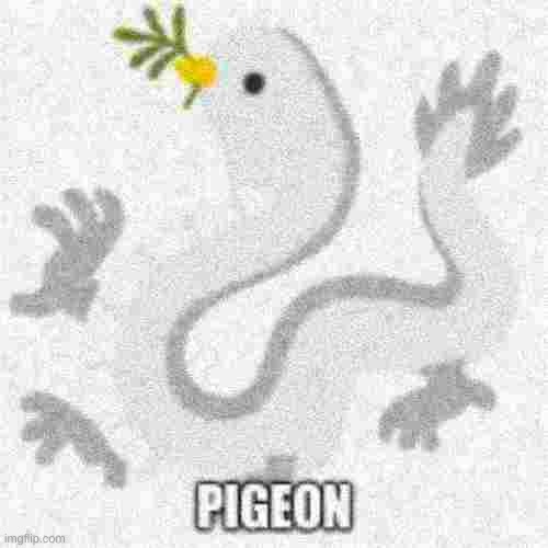 hehe its a birb | made w/ Imgflip meme maker