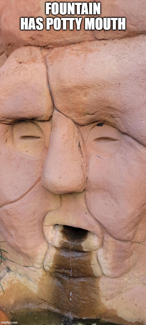 Potty Mouth | FOUNTAIN HAS POTTY MOUTH | image tagged in unsee juice | made w/ Imgflip meme maker