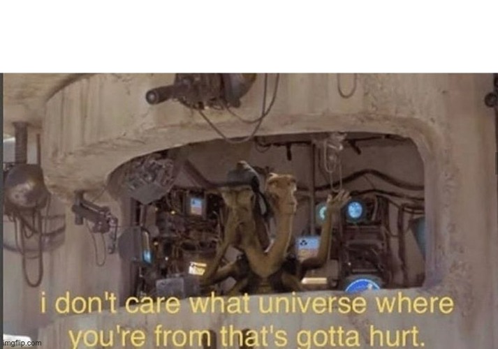 image tagged in i don't care what universe where you're from that's gotta hurt | made w/ Imgflip meme maker