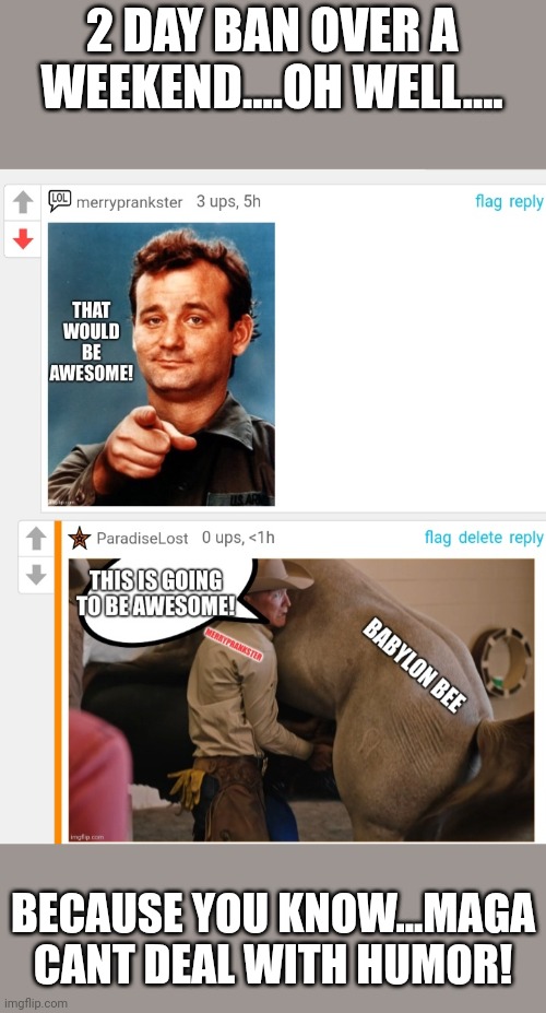 Thin skin snowflake MAgA flagged again. I knew it would so i saved it to be certain..... | 2 DAY BAN OVER A WEEKEND....OH WELL.... BECAUSE YOU KNOW...MAGA CANT DEAL WITH HUMOR! | made w/ Imgflip meme maker