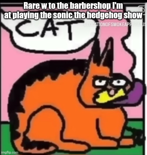 CAT | Rare w to the barbershop I'm at playing the sonic the hedgehog show | image tagged in cat | made w/ Imgflip meme maker