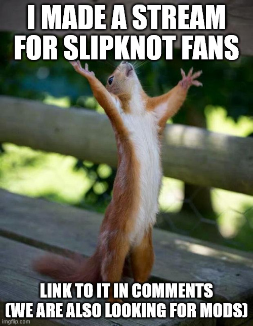 yay :D | I MADE A STREAM FOR SLIPKNOT FANS; LINK TO IT IN COMMENTS (WE ARE ALSO LOOKING FOR MODS) | image tagged in happy squirrel,slipknot,corey taylor,metal,nu metal | made w/ Imgflip meme maker