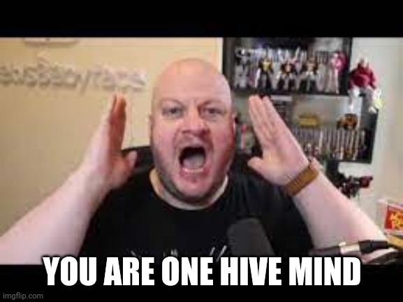 heelvsbabyface | YOU ARE ONE HIVE MIND | image tagged in heelvsbabyface | made w/ Imgflip meme maker
