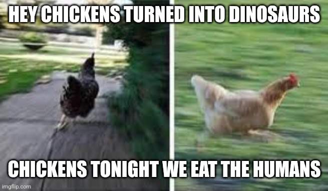 We're dead | HEY CHICKENS TURNED INTO DINOSAURS; CHICKENS TONIGHT WE EAT THE HUMANS | image tagged in running chicken | made w/ Imgflip meme maker
