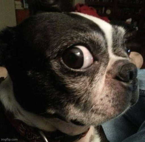 Side eye | image tagged in side eye | made w/ Imgflip meme maker
