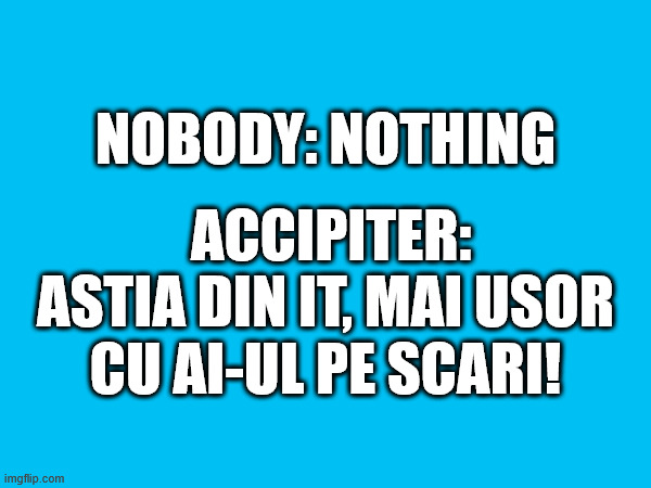 NOBODY: NOTHING; ACCIPITER: ASTIA DIN IT, MAI USOR CU AI-UL PE SCARI! | made w/ Imgflip meme maker