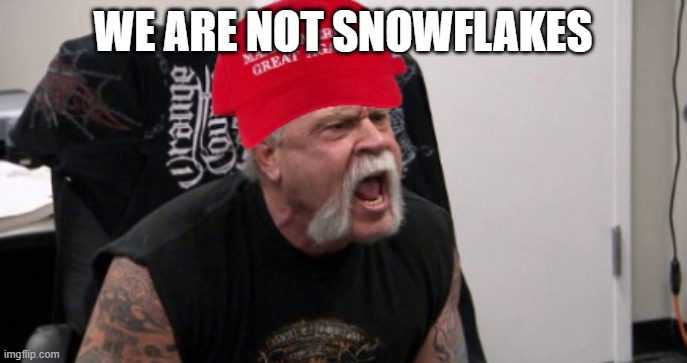 Maga Idiot | WE ARE NOT SNOWFLAKES | image tagged in maga idiot | made w/ Imgflip meme maker