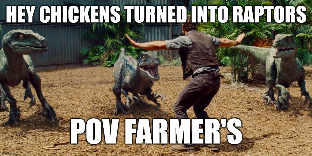 Jurassic park raptor | HEY CHICKENS TURNED INTO RAPTORS; POV FARMER'S | image tagged in jurassic park raptor | made w/ Imgflip meme maker