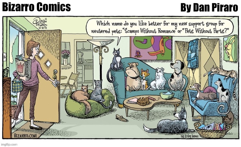 By Dan Piraro; Bizarro Comics | image tagged in comics,bizarro comics,dogs and cats,spayed and neutered,support group | made w/ Imgflip meme maker