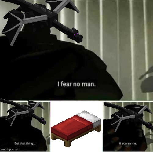 I fear no man | image tagged in i fear no man | made w/ Imgflip meme maker