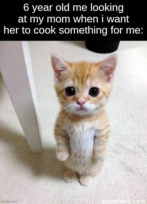 ¨can you cook something mommy?¨ | 6 year old me looking at my mom when i want her to cook something for me: | image tagged in memes,cute cat,childhood | made w/ Imgflip meme maker