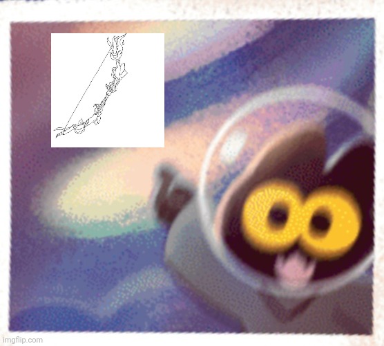 Momo the cat Pog | image tagged in momo the cat pog | made w/ Imgflip meme maker