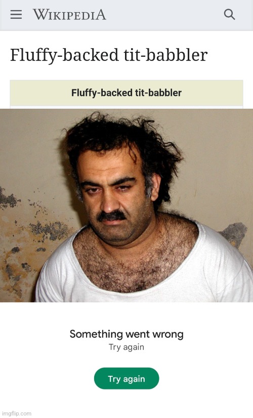 image tagged in memes,fluffy-backed tit-babbler,wikipedia,motorboat mayhem man,something went wrong,boobs | made w/ Imgflip meme maker