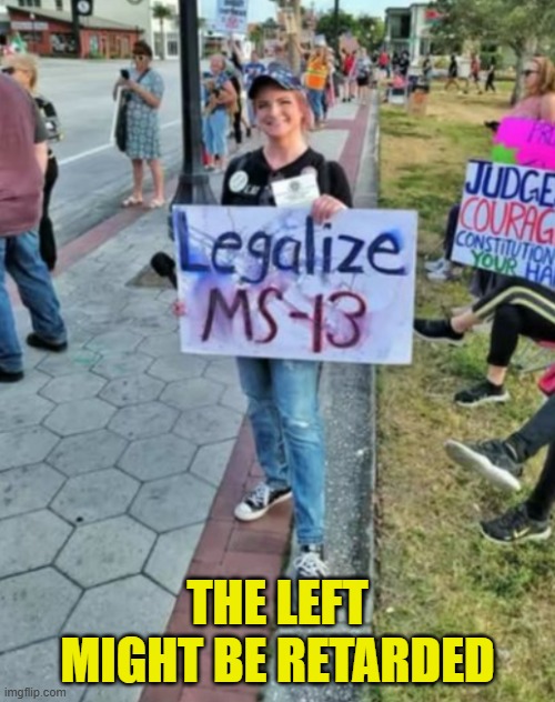 Just might be | THE LEFT MIGHT BE RETARDED | image tagged in retard,full retard,democrats,gangs,deportation,maga | made w/ Imgflip meme maker
