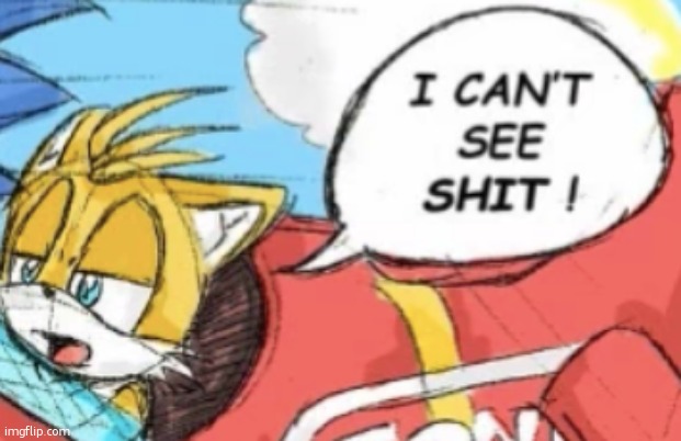 just read the two tails comic | image tagged in i can't see shit tails | made w/ Imgflip meme maker