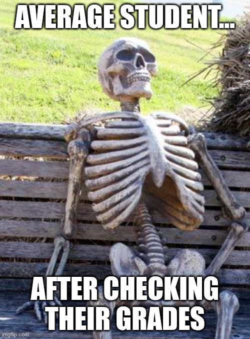 This checks out... | AVERAGE STUDENT... AFTER CHECKING THEIR GRADES | image tagged in memes,waiting skeleton | made w/ Imgflip meme maker
